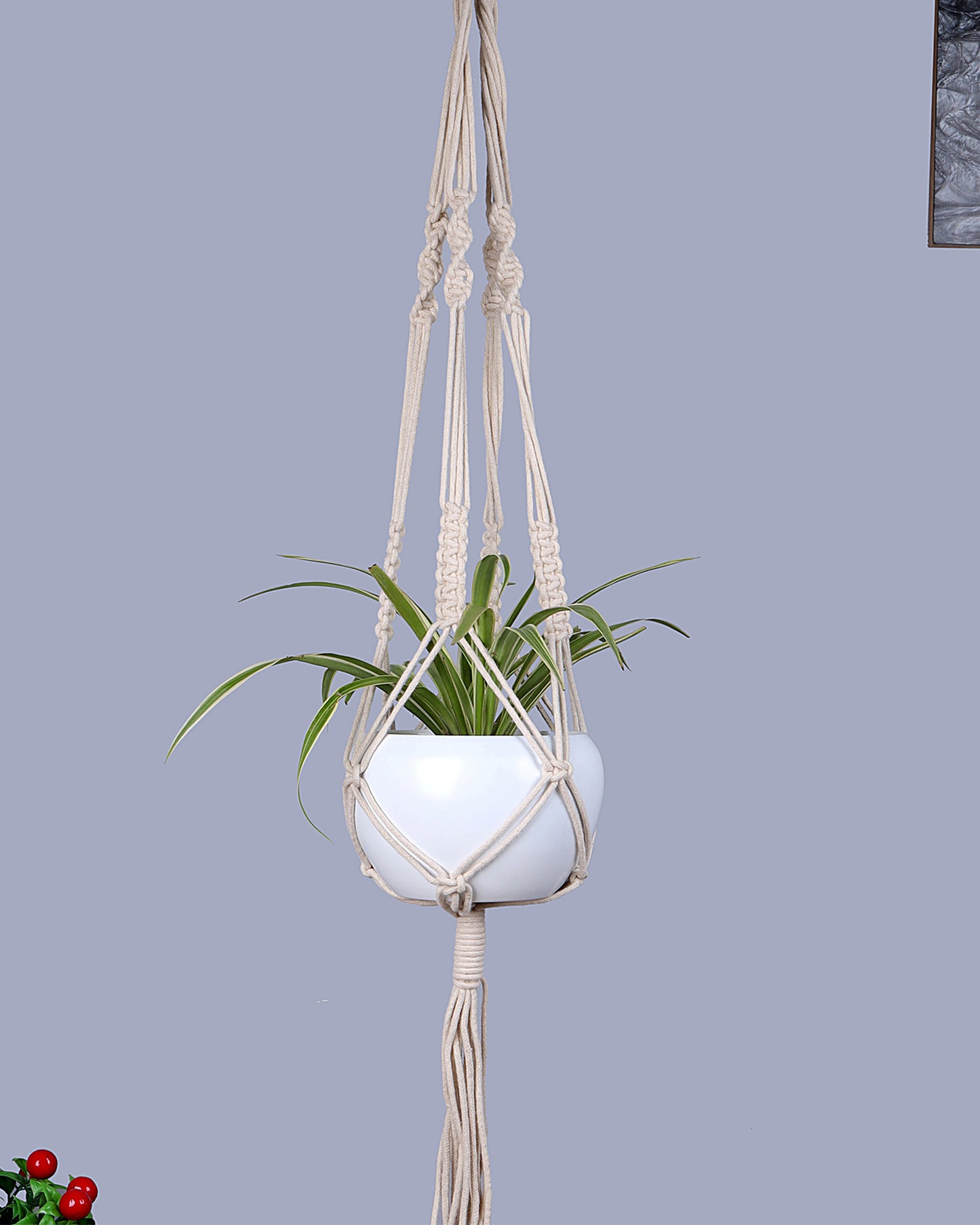 Macreme Hanging Planter Large Macrame with Pot Pack of 2