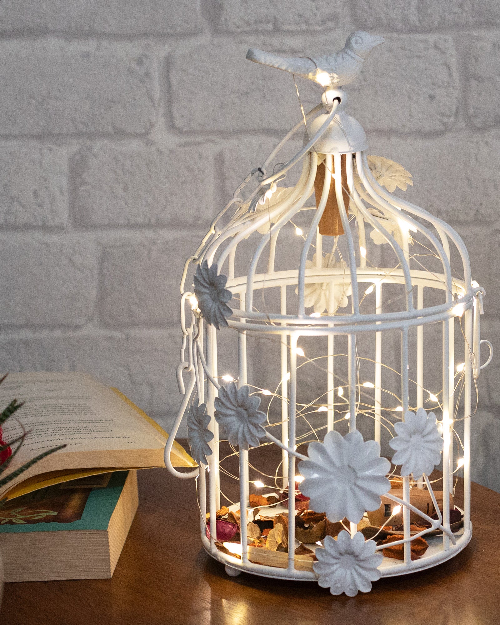 Transform Your Bird Cage with Lights: A Complete Guide to Decoration