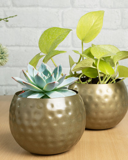 Country Style Belly Bucket Planters antique golden,set of 2